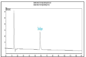 Bio Indigo의 HPLC 크로마토그래피