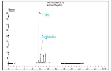 Marigold의 HPLC 크로마토그래피