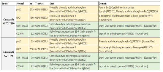 Ferulate decarboxylase (FDC1)와 Vinylguaiacol reductase (VRD1) 예상 유전자