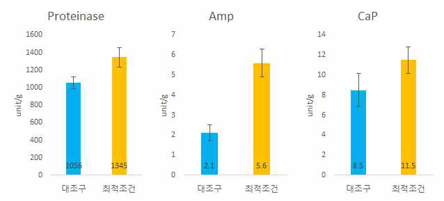 단백질 분해효소 활성 최대화 조건의 확인