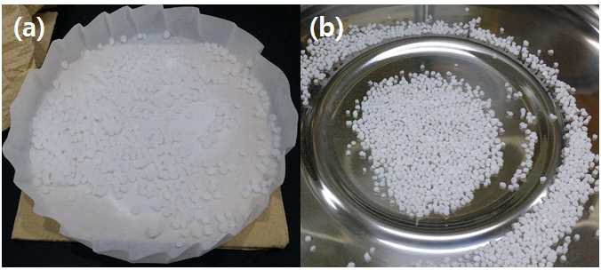 알루미나 담체의 모습 (a) 필터 직후의 모습, (b) 건조 이후의 모습
