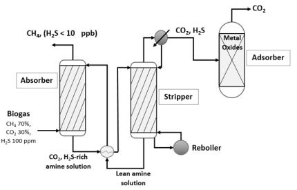 바이오가스로부터 황화수소 분리용 흡수/흡착 공정도