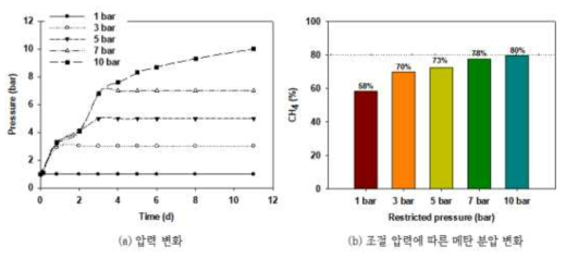 반응기 압력 변화 및 메탄 분압 변화