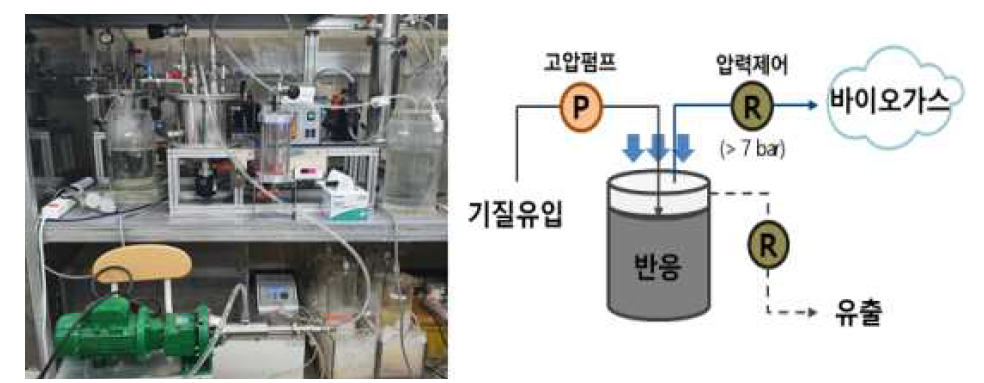 연속 고압 CSTR 운전 시스템