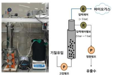 연속 고압 UASB 운전 시스템