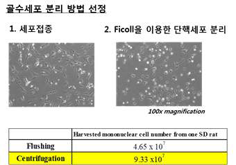 골수 유래 줄기세포 분리 방법별 수확률 비교