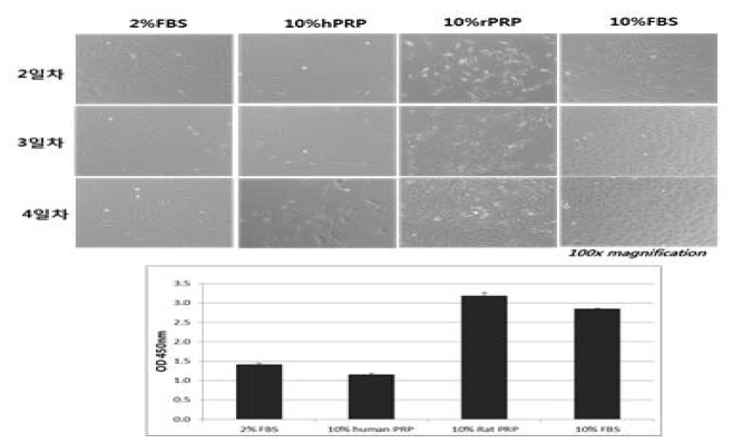 랫트 유래 혈소판 풍부 혈장을 이용한 랫트 골수 유래 줄기세포의 증식능 분석