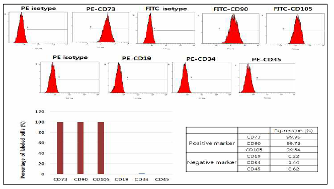 세포계수법 (flow cytometry)을 이용한 골수 줄기세포의 표현형 분석