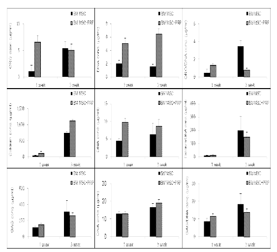 골수 유래 줄기세포의 단백질 수준에서의 분화능 분석: 지방 분화 (Oil Red O absorbance/DNA content ratio), 골 분화 (Calcium/DNA content ratio), 연골 분화 (GAG conc./DNA content ratio)