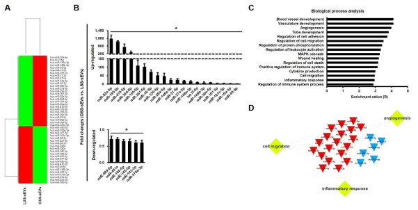 Small RNA sequencing 분석을 통한 혈관내피세포 유래 EVs 내의 miRNA 조성 변화 및 이에 관련된 biological process 분석 결과