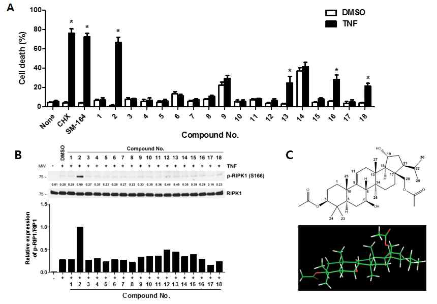 Identification of 3AR-C, as a novel regulator of RIP1 phosphorylation