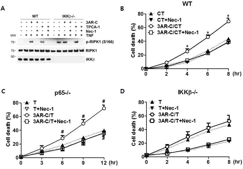 RIPK1-mediated apoptosis and necroptosis by 3AR-C is independent of NF-kB