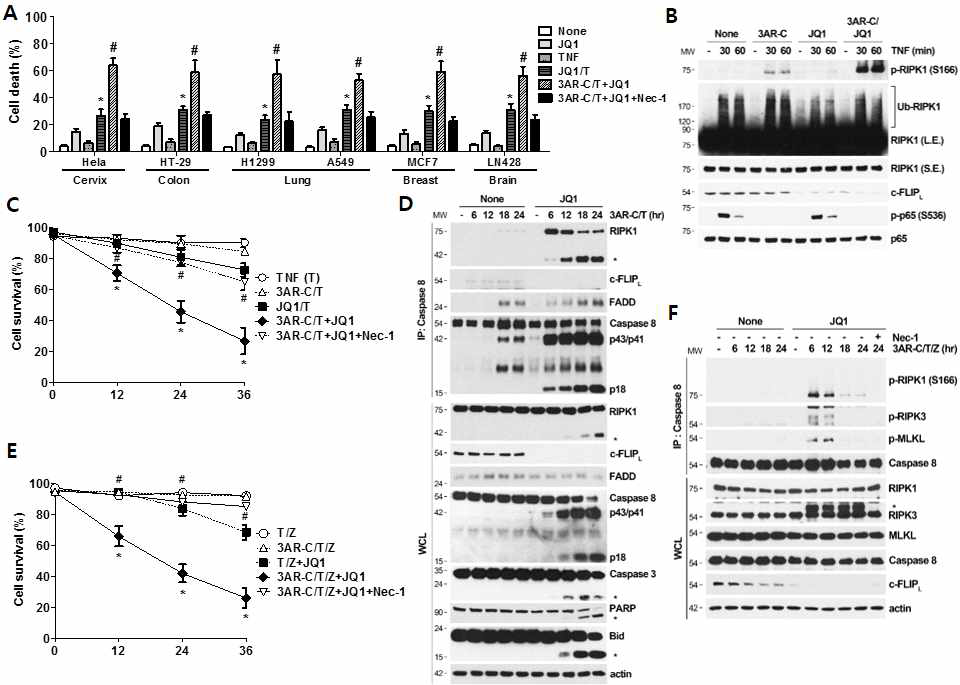 3AR-C and FLIP inhibitor JQ1 synergistically functions to induces complex-II and necrosome formation
