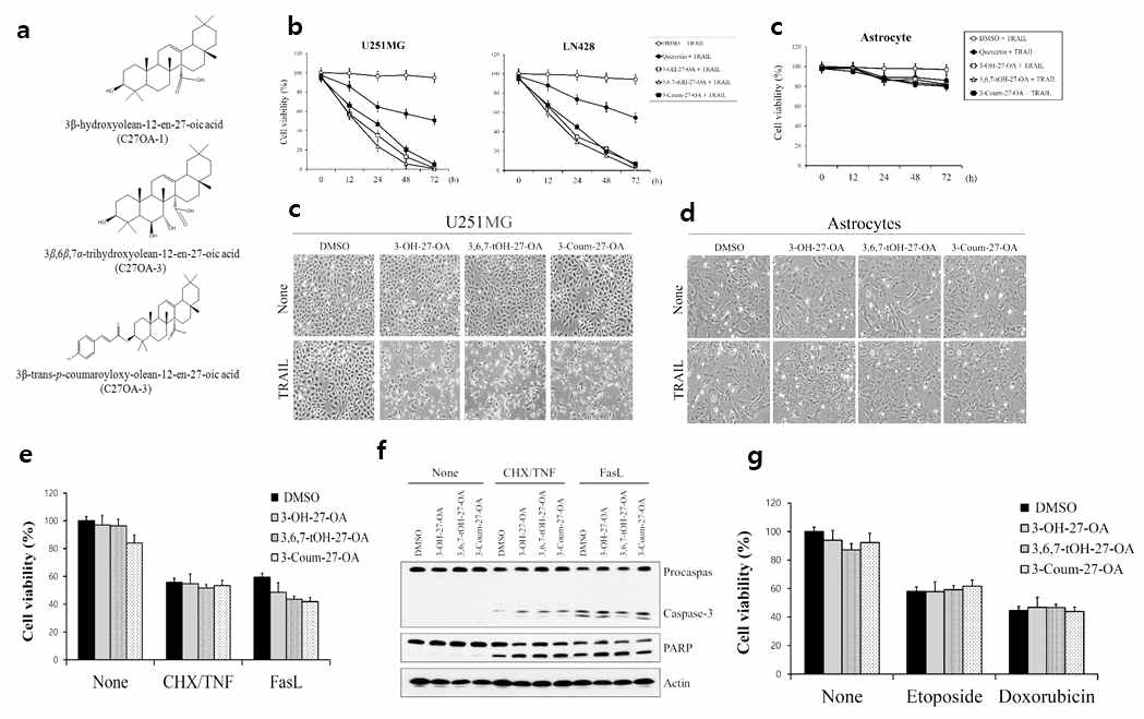 C27OAs selectively sensitize TRAIL-resistant glioma cells by TRAIL but not by TNF, FasL and DNA damage