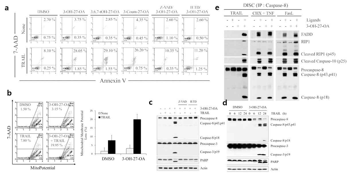 TRAIL sensitization by C27OAs is associated with DISC-mediated apoptotic cascade