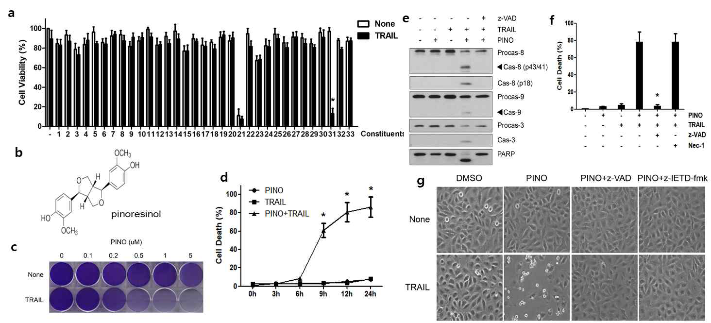 Sensitization of TRAIL-induced apoptosis by non-toxic dose of pinoresinol requires caspase-8 activation in various glioblastoma cells