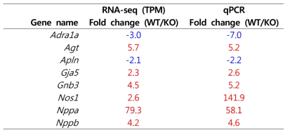 DEGs of RNA-seq belonging to GO term “Regulation of blood pressure”