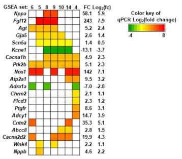 DEGs of RNA-seq belonging to GSEA sets related to “ion homeostasis” [(4), (5), (6), (8), (9), (10), (14)]