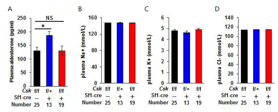 Csk heterozygote 실험군, Csk knockout 실험군과 대조군의 혈장 생화학 지표 측정 (A) Aldosterone, (B) Na+, (C) K+, (D) Cl- 수준 (NS, not significant; *, P<0.05)