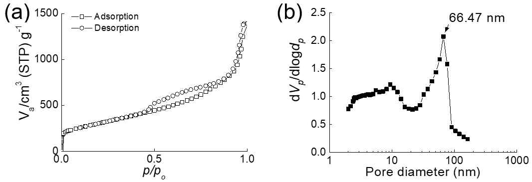 BET 측정 결과 자료. (a) 흡착/탈착 isotherm, (b) BJH plot