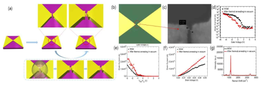 (a) 20 nm 미만의 nano gap을 만들기 위한 공정 모식도, 나노 패턴의 (b) 모식도 및 (c) SEM 이미지, 진공 열처리에 따른 단일벽 탄소 나노튜브의 트랜지스터의 (d) transfer 특성, (e) field-effect mobility 특성, (f) output 특성, 그리고 (g) Raman spectra 분석 IEEE Journal of the Electron Devices Society 5 (6), 525 (2017) 국제 전문 학술지 게재, 특허 출원 :10-0072972 (2019)