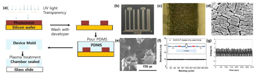 (a) PDMS 기반 soft lithography 공정 모식도, (b) 다채널 패턴 생체 전극 광학 이미지, 확대된 전극의 (c) 광학, (d) SEM 이미지, 자가충전 triboelectric nanogenerator의 (e) 나노 집적 구조 SEM 이미지, (f) 2차원 SWCNT 유연 전극의 기계적 안정성, 그리고 (g) 제작된 nanogenerator 장시간 자체 생산된 전압 결과 J. Nanoscience and Nanotechnology 19(3), 1729 (2018) 국제 전문 학술지 게재, 특허 등록 : 10-2014132 (2019)