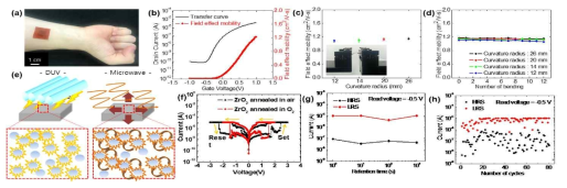 (a) 착용이 가능한 유연 트랜지스터 어레이의 광학 이미지, (b) 저전압 구동 트랜지스터 transfer curve 및 이동도, 기계적 구부림에 따른 안정성 확보 연구: (c) 구부림 반경과 (d) 구부림 횟수, (e) 비열처리 저온 용액 공정 모식도 및 증착 메커니즘, 그리고, 뉴로모픽 시스템 저전력 구동 저항 메모리의 (f) O2 annealing 통한 안정성 개선, (g) 장시간 Retention, (h) HRS/LRS Endurance 특성 Scientific Reports. 9(1), 8416 (2019), J. Nanoscience and Nanotechnology, 19(10), 6178 (2019), Electronic Materials Letters 15 (4), 402 (2019) 국제 전문 학술지 게재, 특허 출원 : 10-0091931 (2019)