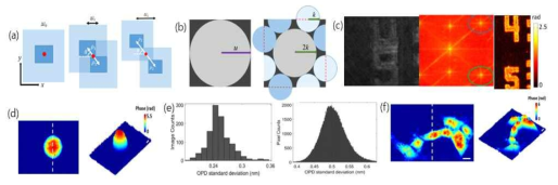 (a) 0, Δl1, Δl2의 격자 이동 거리를 고려한 FOV 모식도, (b) 일반 공간 이미지 및 sub-Nyquist 방식의 이미지, (c) diagonal scheme을 사용한 1951 USAF 해상도 다중 interferogram 2-D 푸리에 변환 결과, (d) microsphere의 2-D pseudocolor와 3-D phase, (e) 550개의 이미지에 대한 OPD의 표준 분산 분포도 및 각 픽셀의 OPD 표준 분산 분포도, (f) Double-FOV DPM 기반 HEK 293 세포의 2-D 및 3-D 위상이미지 IEEE Transactions on Industrial Electronics 65(10), 8195 (2018), 국제 전문 학술지 게재