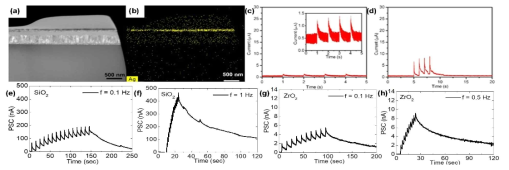 가소성 시냅스 구현을 위한 Memristor 소자의 (a) TEM 이미지와 (b) EDX 분석을 통한 Ag 원자 분포 이미지, (c) 1ms 와 (d) 5ms 음의 펄스에 의한 신호 분석, SiO2 기반 뉴로모픽 소자의 (e) 0.1Hz와 (f) 1Hz 주파수에 따른 비 균일 신호 분석, ZrO2 기반 저전압 구동 뉴로모픽 소자의 (g) 0.1Hz와 1Hz 주파수에 따른 비 균일 신호 분석 Journal of Alloys and Compounds 757, 496 (2018), Journal of Alloys and Compounds, 825, 154086 (2020) 국제 전문 학술지 게재, 특허 출원 :10-0072972 (2019)