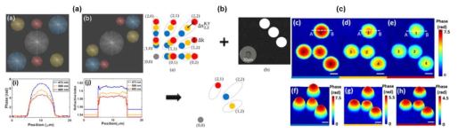 (a) 기존 diagonal 2D frequency sampling scheme 결과와 제안된 diagonal 2D frequency sampling scheme 결과, (b) 각기 다른 광 방향에서 정보를 수집하기 위해 Fourier plane에 기반한 정보 수집 알고리즘 개략도, (c) 패턴 분석기반의 2D pseudo color phase reconstruction IEEE Journal of Selected Topics in Quantum Electronics 25(1), 7200708 (2018) 국제 전문 학술지 게재