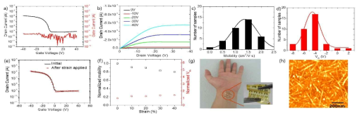탄소 나노튜브 기반 유연 트랜지스터의 (a) transfer (b) output 특성, 동작 특성의 균일도 분석을 위한 통계 (c) mobility 와 (d) Vth. (e) strain에 따른 transfer 특성, (f) 인가된 strain에 따른 동작 안정성, (g) 유연 트랜지스터를 신체에 직접 부착한 사진, (h) AFM 이미지 AIP Advances, 8, 015305 (2018), Journal of Nanoscience and Nanotechnology 19, 6178 (2019), Physica Status Solidi A: 215, 1700802 (2018) 국제 전문 학술지 게재, 특허 등록 : 10-2023103 (2019)