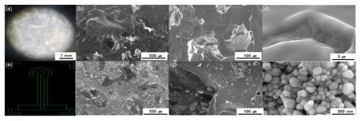 (a) PLGA micro-needle 제작하기 위한 soft lithograph 용 PDMS template, Hybrid micro-needle 유연 전극의 표면적 향상을 위한 다공성 구조의 유연 전극의 SEM 이미지 [(b) 500㎛ 분해능, (c) 100 ㎛ 분해능,(d) 5 ㎛ 분해능, (e) 2전극 형태의 전극 패턴 마스크 디자인, metal nanoparticle 다공성 구조를 결합시킨 유연 전극의 SEM image [(f)500㎛, (g) 100㎛, (h) 500 nm 분해능] Materials Letters 227, 311 (2018), Journal of Alloys and Compounds, 825, 154086 (2020) 국제 전문 학술지 게재, 특허 등록 : 10-2023106 (2019), 10-1928355 (2019)