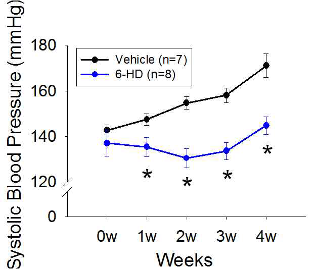 Activation of the sympathetic nervous system contributes to the development of hypertension in the Dahl salt-sensitive rats. Change in systolic blood pressure over 4-week period in vehicle- or 6-HD-treated Dahl salt-sensitive rats. During the 4-week period, the rats were provided with 1.2 % saline as drinking fluid. *: P<0.05
