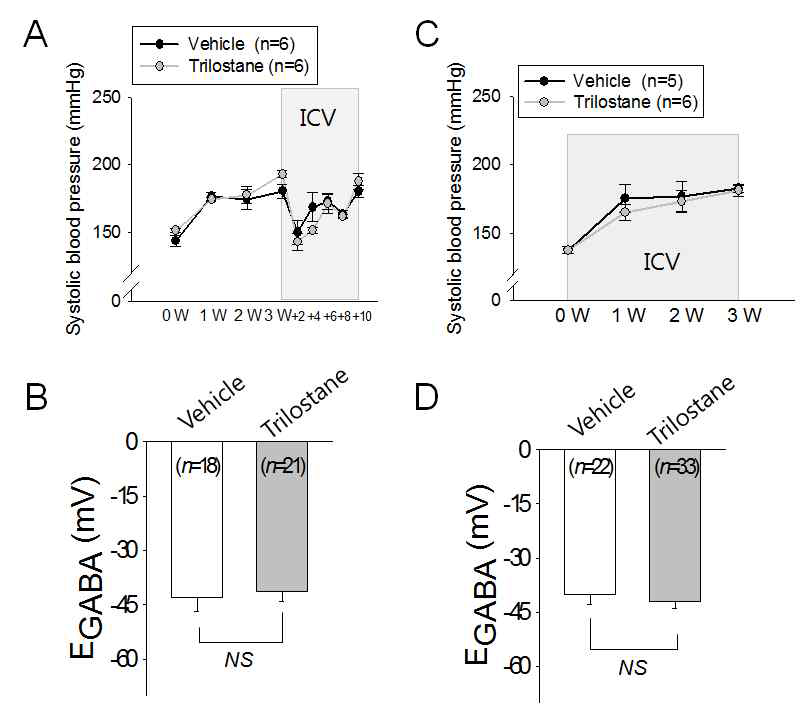 Intracerebroventricular(ICV) administration of trilostane dose not suppress the rise of systolic blood pressure (A & C) and the depolarizing EGABA shift (B & D). NS: Statistically not different
