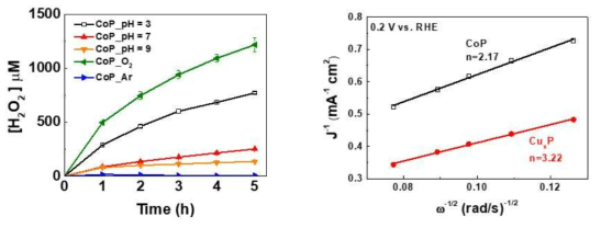 Copper phosphide 과수 생성 결과 (왼쪽) 과 전기화학적 방법을 통한 산소로의 전자 이동 개수 계산 (오른쪽)