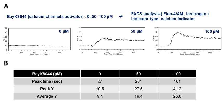 BayK8644 농도에 따른 Jurkat 세포내 Ca2+ 변화여부에 대한 FACS 분석결과