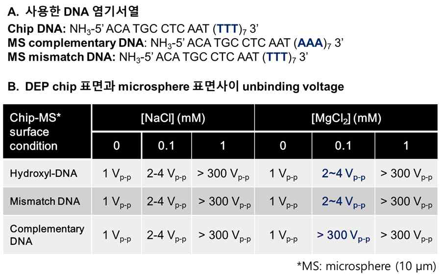 Biaxial DEP 시스템 내에서 측정된 chip 표면과 microsphere(MS) 표면 사이 unbinding voltage 실험결과 (A) 사용한 DNA 염기서열 (B) chip 표면과 MS 표면위 상호작용에 의한 unbinding voltage 측정결과표