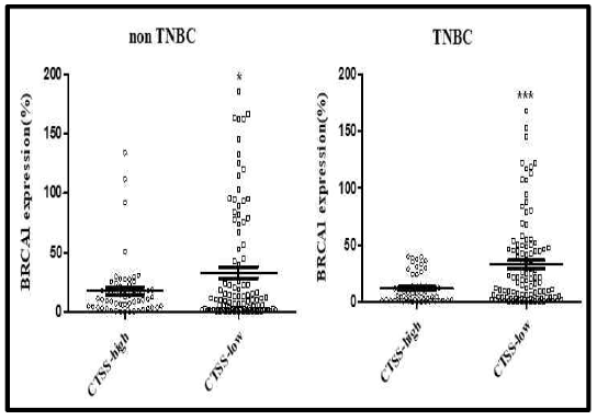 Expression of CTSS and BRCA1 in TNBC and non-TNBC human breast cancer tissues. IHC for BRCA1 and CTSS using human mammary cancer tissue microarray (n=70), was performed. Quantitation of BRCA1 and CTSS positive area