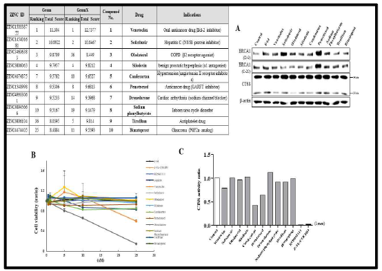 CTSS inhibitor screening using FDA approved drugs. (A)Doking scores of the FDA approved compounds. (B) MDA-MB-231 cells were treated with FDA approved drugs and E-64(pan-cysteine protease inhibitor) at 5uM for 24hr and were examined for the protein levels. (C) Cell viability of MDA-MB-231 cells treated with FDA approved drugs, E-64, CTSS specific inhibitors(RO5461111, Z-FL-COCHO), Cisplatin(Chemotherapy drug) for 24hr. (D) CTSS protease activity of FDA approved drugs and specific CTSS inhibitors(RO5461111, Z-FL-COCHO) at 1mm