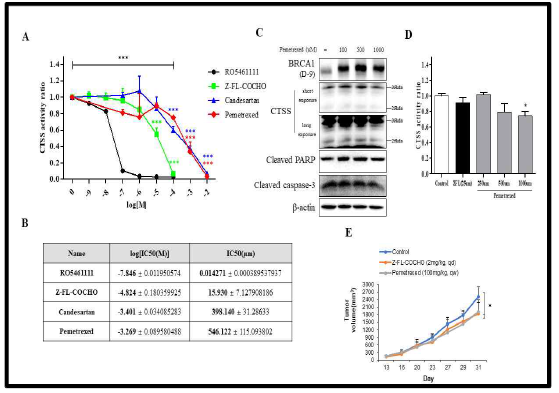 Characterization of CTSS inhibitors. (A) CTSS protease enzyme activity of CTSS inhibitors (B) IC50 values of CTSS inhibitors in MDA-MB231 cells (C) BRCA1 expression and cell death effects of pemetraxed (D) SCID mouse xenograft experiment (n=5) of CTSS inhibitors (*p<0.05, ***p<0.005)