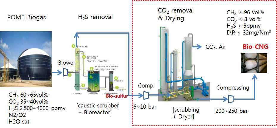 POME 바이오가스로부터 Bio-CNG 생산 기술 개략도