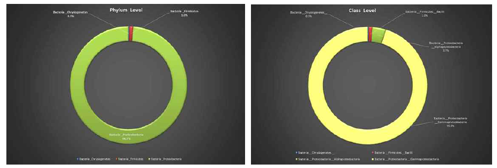 미생물 군집 결과 (문(Phylum,좌), 강(Class, 우))