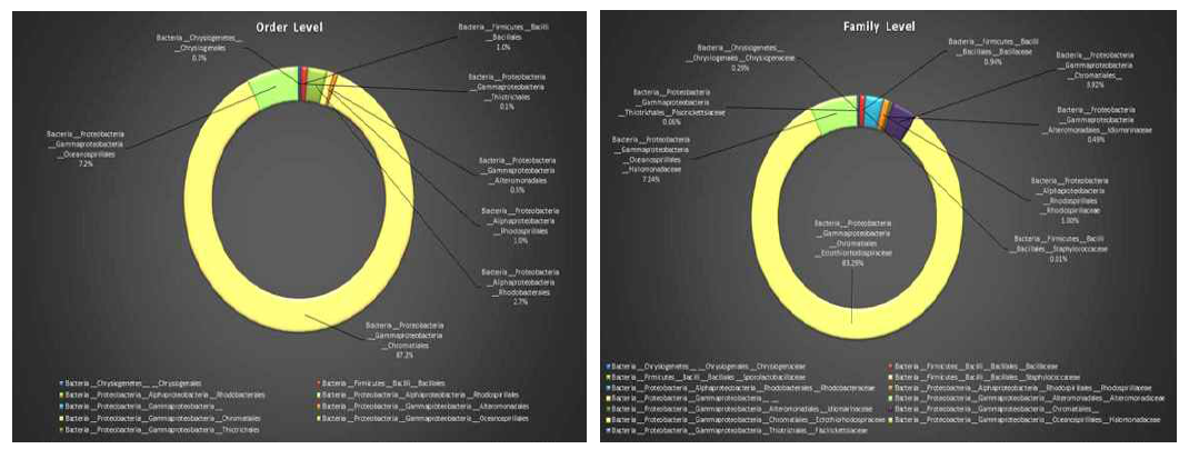 공정수내의 미생물 군집 결과 (목(Order,좌), 과(Family,우))
