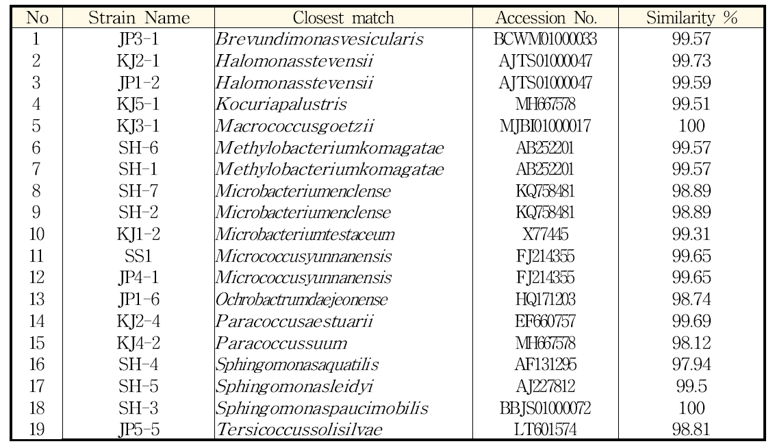 일반 영양 배지(NB)에서 분리한 균주의 16s rRNA seq 분석에 따른 동정 결과