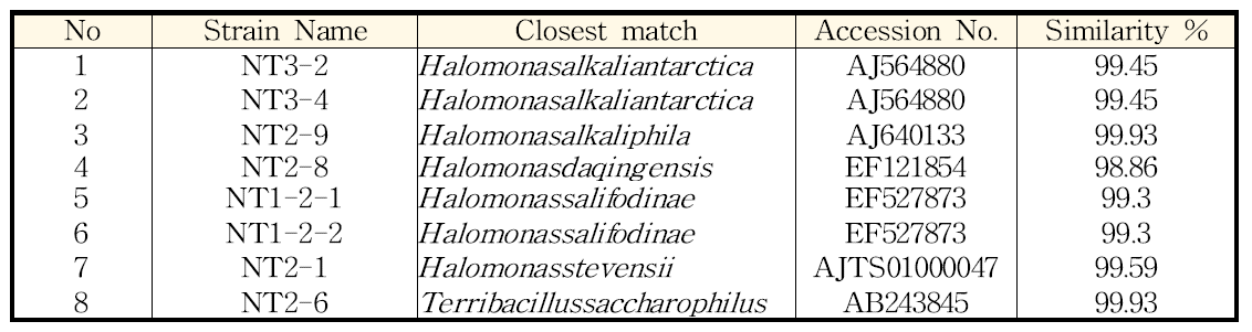 첨가 NB 배지에서 분리한 균주의 16s rRNA seq 분석에 따른 동정 결과