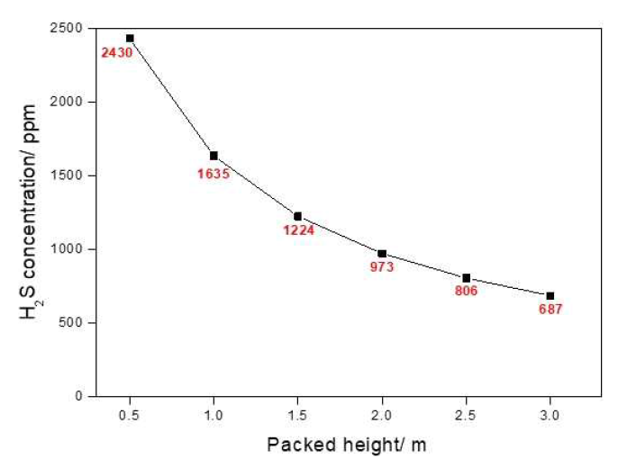 Packed height의 변화에 따른 배출가스 내의 황화수소 농도의 영향