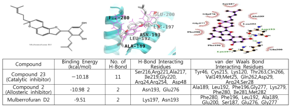 뽕나무 유래 mulberrofuran D2와 PTP1B 효소의 Molecular docking models