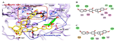 뽕나무 유래 arybenzofuran 화합물 mulberrofuran H의 tyrosine 결합 molecular docking simulation]