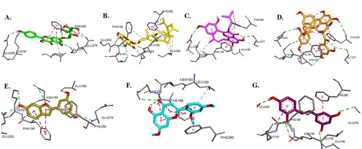 분리화합물과 PTP1B allosteric site 결합 3D simulation (PDB; 1T49)