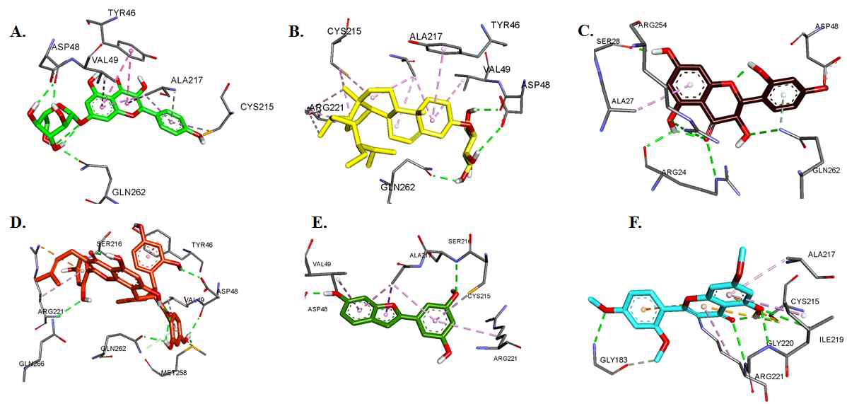 분리화합물과 PTP1B catalytic site 결합 3D simulation (PDB; 1T49)